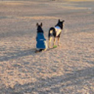 Meet your Posher, Jesse